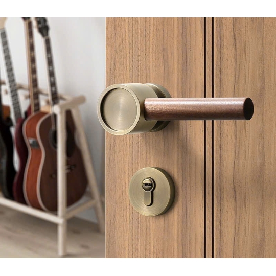 Khoá cửa Phòng kết hợp Tay gạt gỗ mã  BAGB màu Rêu