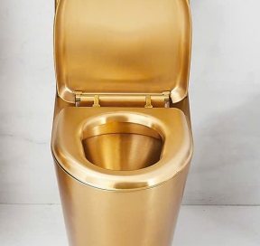 Bồn cầu 2 khối tựa lưng inox cao cấp 8810 - Màu vàng