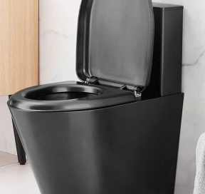 Bồn cầu 2 khối tựa lưng inox cao cấp 8810 - Màu Đen