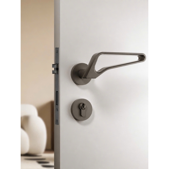 Khóa cửa Phòng Mã 72F279