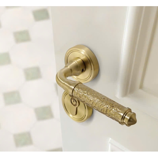 KHÓA CỬA PHÂN THỂ BL104V