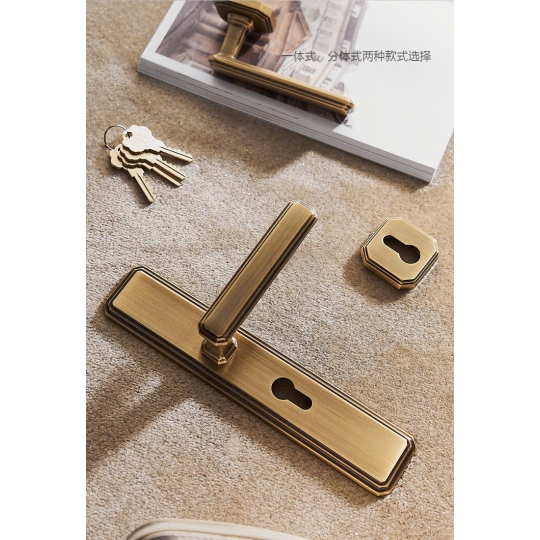 KHÓA CỬA PHÒNG BR 20191 - Màu Rêu