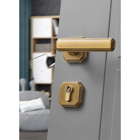 KHÓA CỬA PHÂN THỂ BR 20191 - Màu Rêu