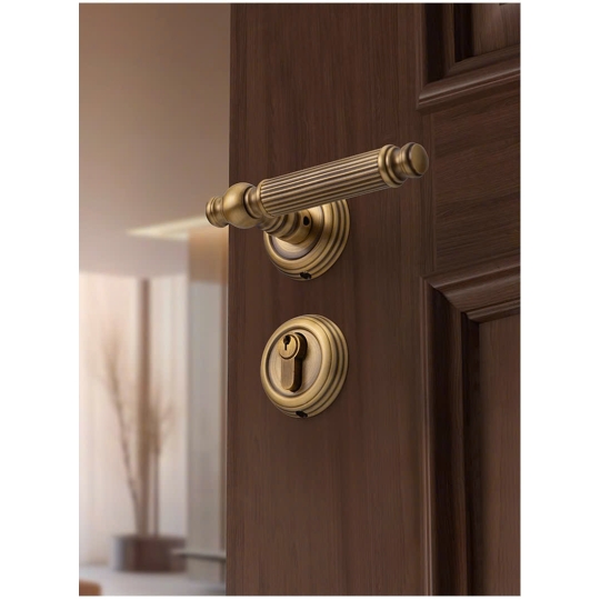 KHÓA CỬA PHÂN THỂ  ĐỒNG THAU  CP20-2671