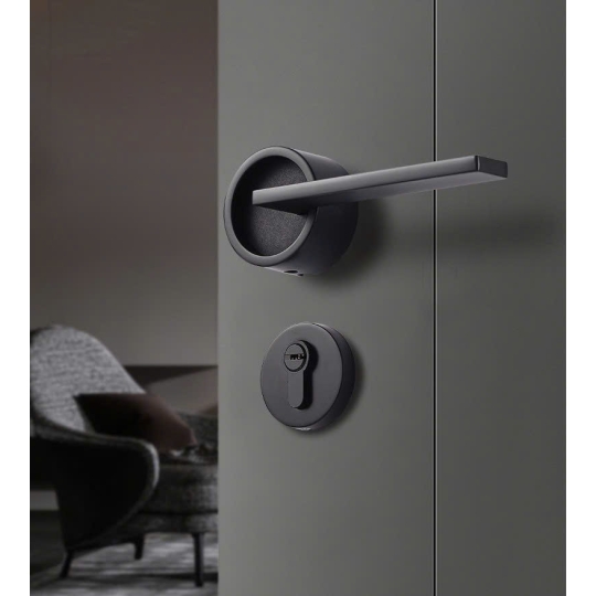 KHÓA CỬA PHÂN THỂ  BL01